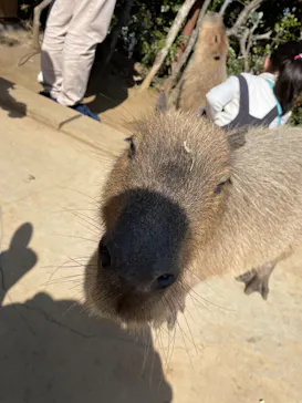 横浜・八景島シーパラダイスに投稿された画像（2023/2/18）