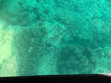 まりんはうすぐるくんに投稿された画像（2023/2/18）