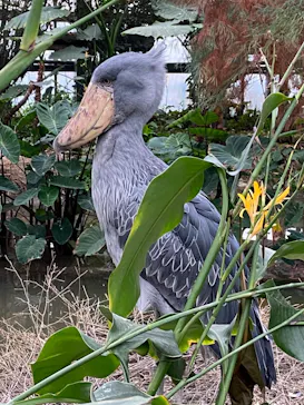 神戸どうぶつ王国に投稿された画像（2023/2/18）