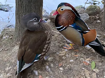 神戸どうぶつ王国に投稿された画像（2023/2/18）