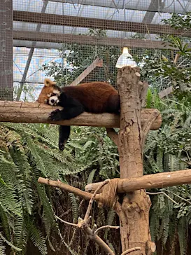 神戸どうぶつ王国に投稿された画像（2023/2/18）