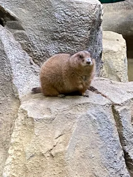 神戸どうぶつ王国に投稿された画像（2023/2/18）