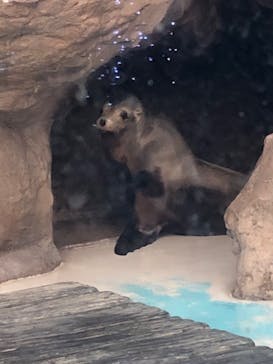 サンシャイン水族館に投稿された画像（2023/2/18）