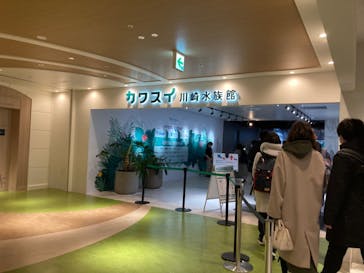 カワスイ 川崎⽔族館に投稿された画像（2023/2/18）