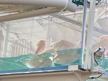 サンシャイン水族館に投稿された画像（2023/2/18）
