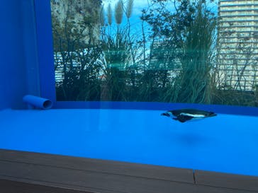 サンシャイン水族館に投稿された画像（2023/2/18）