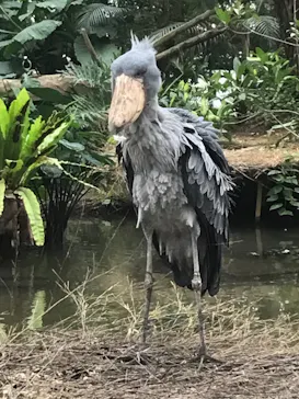 神戸どうぶつ王国に投稿された画像（2023/2/18）