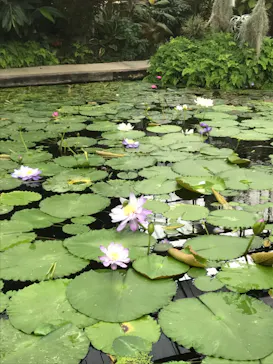 神戸どうぶつ王国に投稿された画像（2023/2/18）