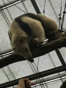 神戸どうぶつ王国に投稿された画像（2023/2/18）