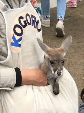 神戸どうぶつ王国に投稿された画像（2023/2/18）