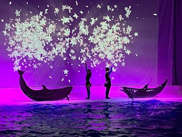 アクアワールド茨城県大洗水族館に投稿された画像（2023/2/18）