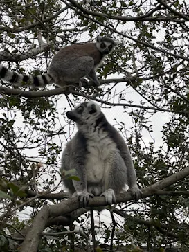 神戸どうぶつ王国に投稿された画像（2023/2/18）