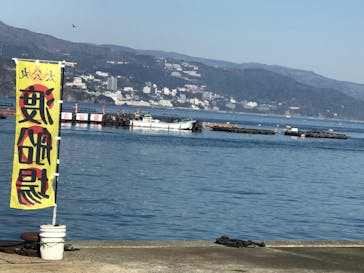 海上釣り 堀太公望に投稿された画像（2023/2/18）