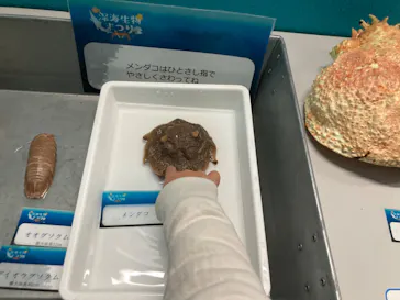 横浜・八景島シーパラダイスに投稿された画像（2023/2/18）