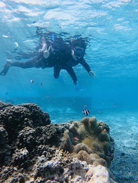 宮古島 ADVENTURE PiPi（ミヤコジマ アドベンチャー ピピ）に投稿された画像（2023/2/18）