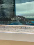 名古屋港水族館に投稿された画像（2023/2/18）