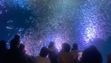 名古屋港水族館に投稿された画像（2023/2/18）