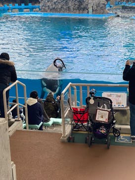 名古屋港水族館に投稿された画像（2023/2/18）