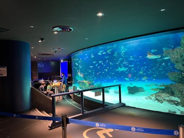 サンシャイン水族館に投稿された画像（2023/2/18）