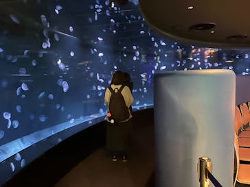 サンシャイン水族館に投稿された画像（2023/2/18）