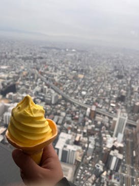 ハルカス300(展望台)に投稿された画像（2023/2/18）