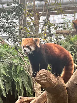 神戸どうぶつ王国に投稿された画像（2023/2/18）