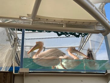 サンシャイン水族館に投稿された画像（2023/2/18）