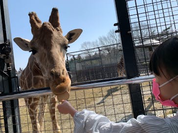 那須サファリパークに投稿された画像（2023/2/18）