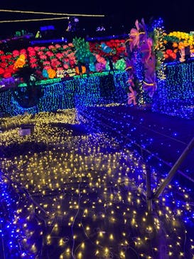 伊豆ぐらんぱる公園に投稿された画像（2023/2/19）