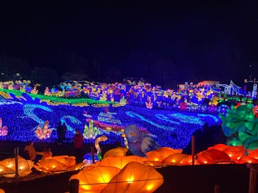 伊豆ぐらんぱる公園に投稿された画像（2023/2/19）