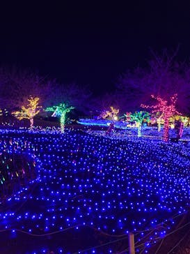 伊豆ぐらんぱる公園に投稿された画像（2023/2/19）