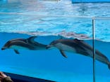 下田海中水族館に投稿された画像（2023/2/19）