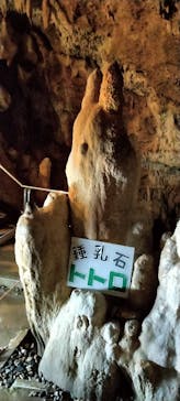 石垣島鍾乳洞に投稿された画像（2023/2/19）
