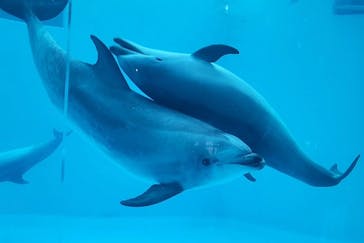 名古屋港水族館に投稿された画像（2023/2/19）