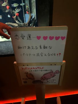 カワスイ 川崎⽔族館に投稿された画像（2023/2/19）