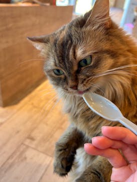 カワスイ 川崎⽔族館に投稿された画像（2023/2/19）