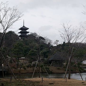 三溪園に投稿された画像（2023/2/19）