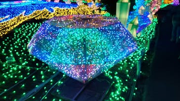 伊豆ぐらんぱる公園に投稿された画像（2023/2/19）