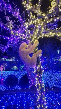 伊豆ぐらんぱる公園に投稿された画像（2023/2/19）