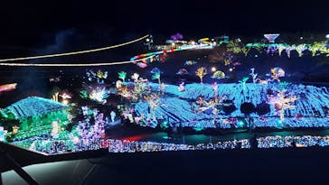 伊豆ぐらんぱる公園に投稿された画像（2023/2/19）