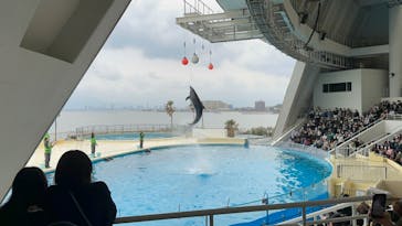 マリンワールド海の中道に投稿された画像（2023/2/19）