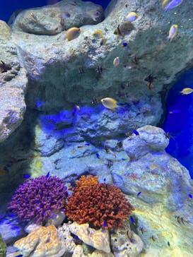 マリンワールド海の中道に投稿された画像（2023/2/19）