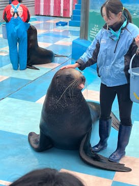 ゼロ距離水族館 伊勢シーパラダイスに投稿された画像（2023/2/19）