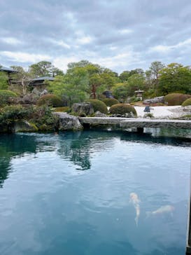 足立美術館に投稿された画像（2023/2/19）