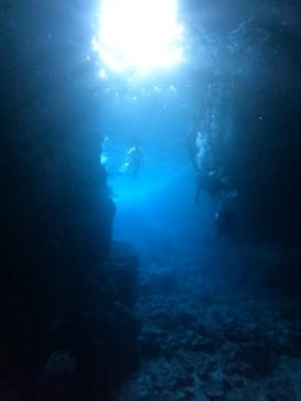 沖縄マリンサービス碧に投稿された画像（2023/2/19）