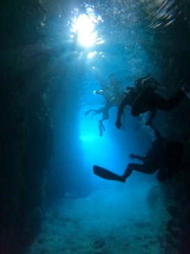 沖縄マリンサービス碧に投稿された画像（2023/2/19）