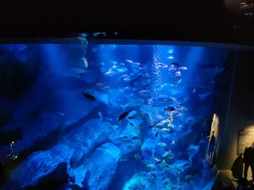 すみだ水族館に投稿された画像（2023/2/19）