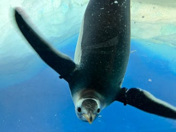 名古屋港水族館に投稿された画像（2023/2/19）