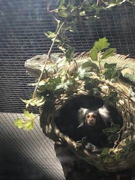 カワスイ 川崎⽔族館に投稿された画像（2023/2/19）