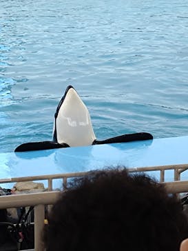 名古屋港水族館に投稿された画像（2023/2/19）